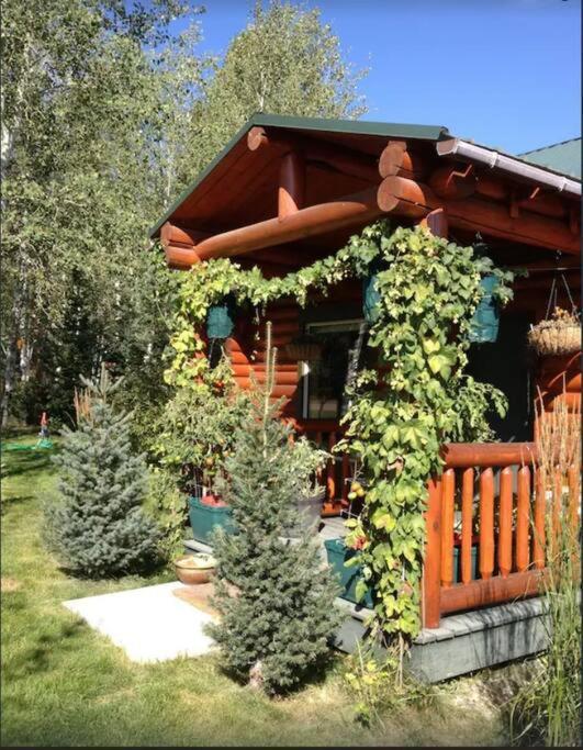Lazy Fox Cabin Уест Йелоустоун Екстериор снимка